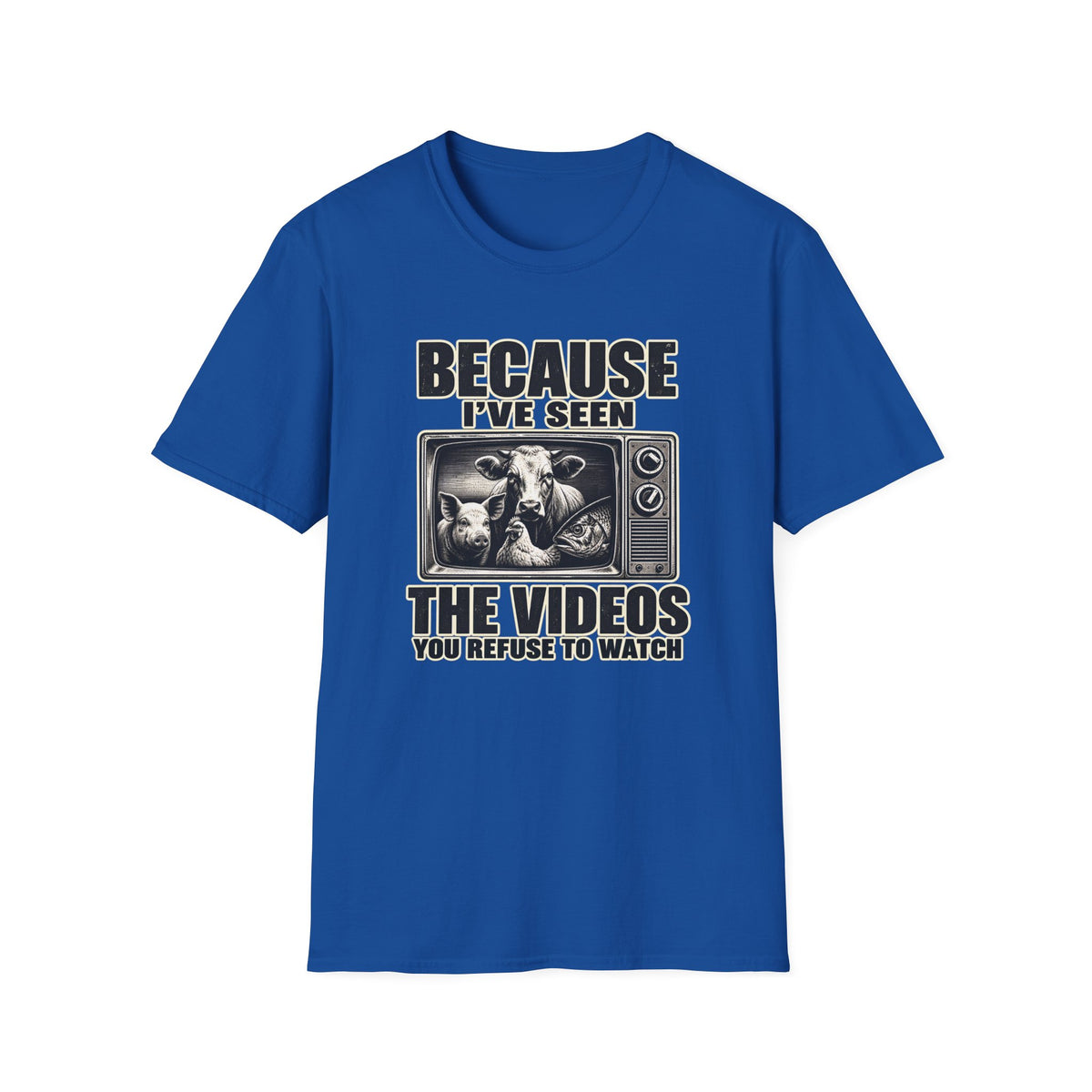Because I've Seen the Videos  T-Shirt