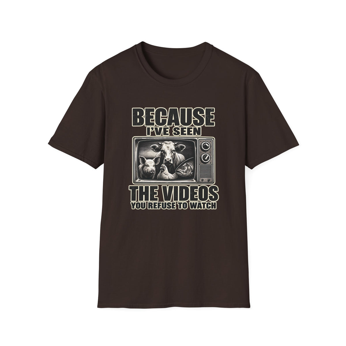 Because I've Seen the Videos  T-Shirt