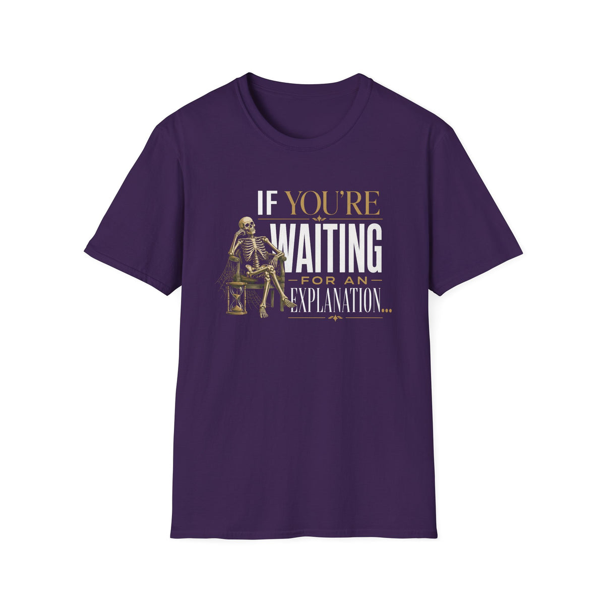 If You're Waiting for an Explanation T-Shirt